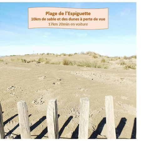 Suite Thalassa 1Ere Ligne Plages Du Couchant Wifi - Rossiconciergerie - Linge Inclus La Grande-Motte Eksteriør billede