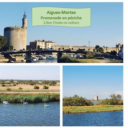 Suite Thalassa 1Ere Ligne Plages Du Couchant Wifi - Rossiconciergerie - Linge Inclus La Grande-Motte Eksteriør billede