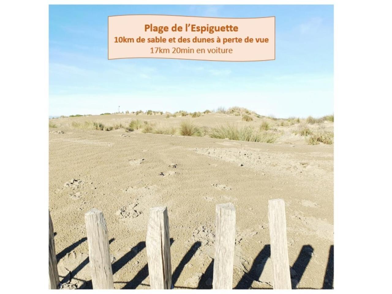 Suite Thalassa 1Ere Ligne Plages Du Couchant Wifi - Rossiconciergerie - Linge Inclus La Grande-Motte Eksteriør billede